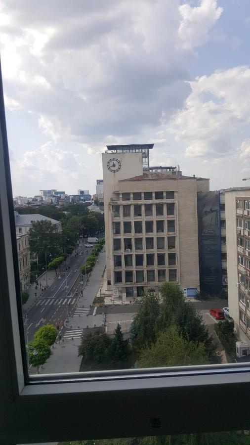 Calea Victoriei Studio Bukarest Exteriör bild